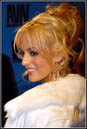 Stormy Daniels for Wicked Pictures 2007 AVN Awards