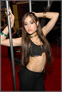 Sasha Grey at 2008 Adult Entertainment Expo