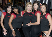 2009 AVN Adult Entertainment Expo Day 2 Gallery