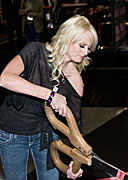 Wicked Pictures at the 2009 Adult Entertainment Expo Gallery