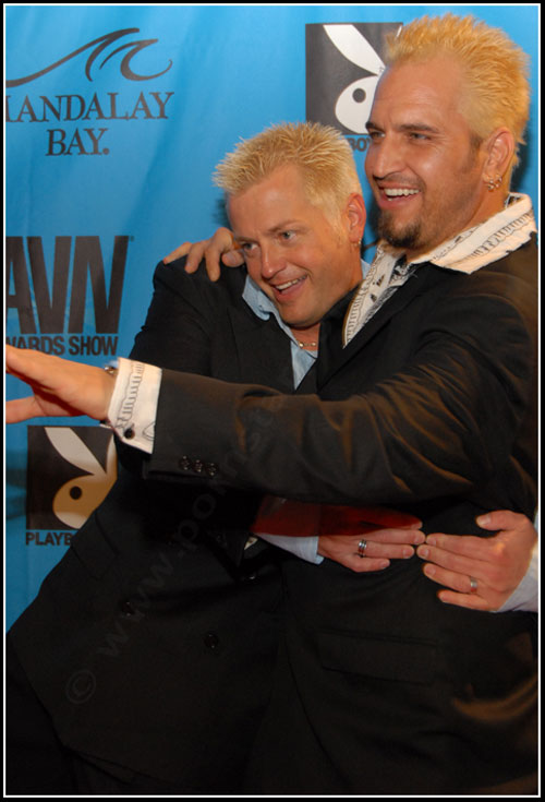 2008 Adult Video News Awards