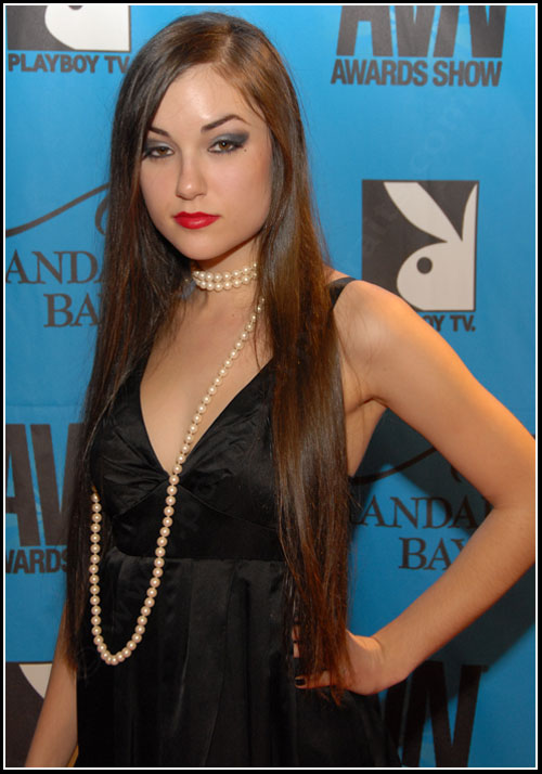 2008 Adult Video News Awards