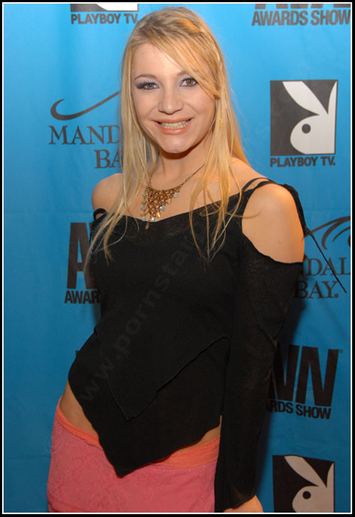 2008 Adult Video News Awards