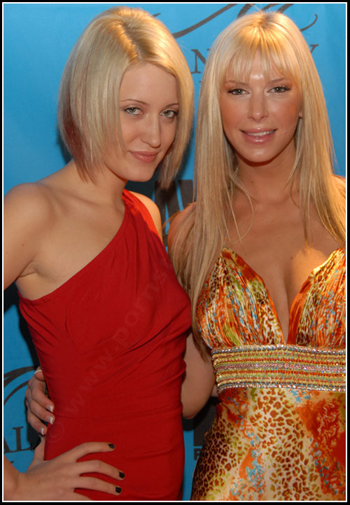 2008 Adult Video News Awards