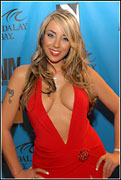 2008 Adult Video News Awards