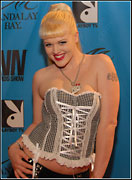 2008 Adult Video News Awards