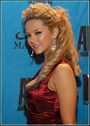 2008 Adult Video News Awards