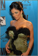 2008 Adult Video News Awards