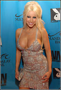 2008 Adult Video News Awards