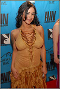 2008 Adult Video News Awards