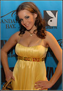 2008 Adult Video News Awards