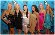 2008 Adult Video News Awards