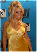 2008 Adult Video News Awards