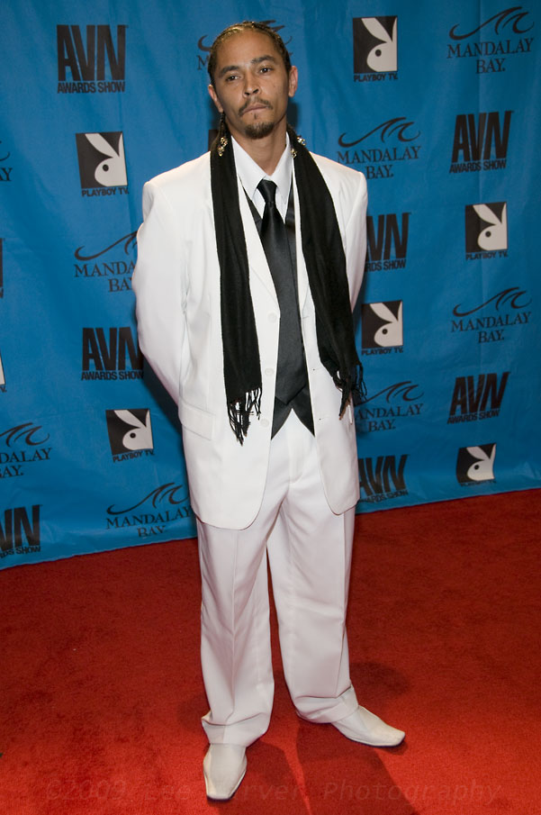 2009 AVN Awards at 2009 AVN Adult Movie Awards