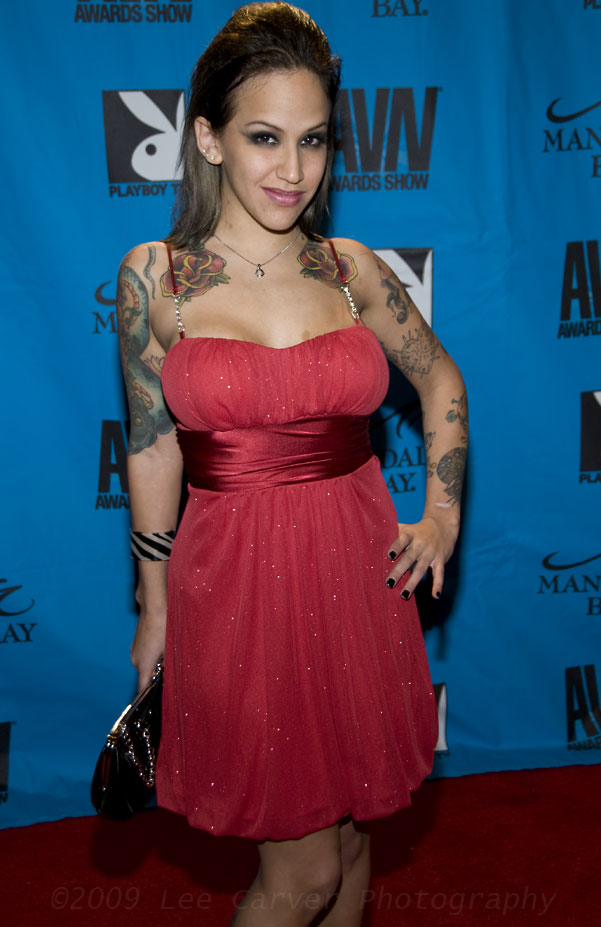 Regan Reese at 2009 AVN Adult Movie Awards