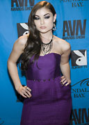 2009 AVN Adult Movie Awards Gallery