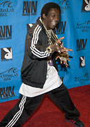 2009 AVN Adult Movie Awards Gallery