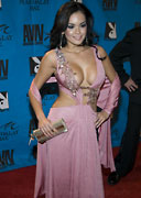 2009 AVN Adult Movie Awards Gallery