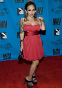 2009 AVN Adult Movie Awards Gallery