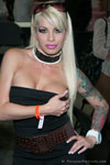 eXXXotica Los Angeles Gallery