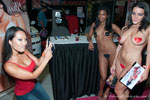 eXXXotica Los Angeles Gallery