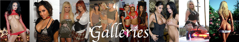 Pornstar Portraits Galleries Banner Courtesy of Michael Saint