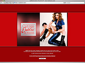 New Site Design Screen Shot
