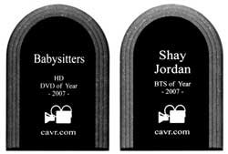 Digital Playground CAVR Awards