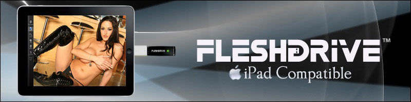 Fleshdrive Logo Courtesy of Fleshdrive.com