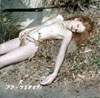 HS2 Wagner Body Image