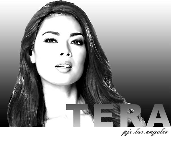 Tera Patrick PJE Logo Courtesy of Versatile Meida Group Inc.
