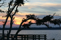 North Carolina's Cape Fear Coast