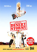 Operation Desert Stormy Box Cover